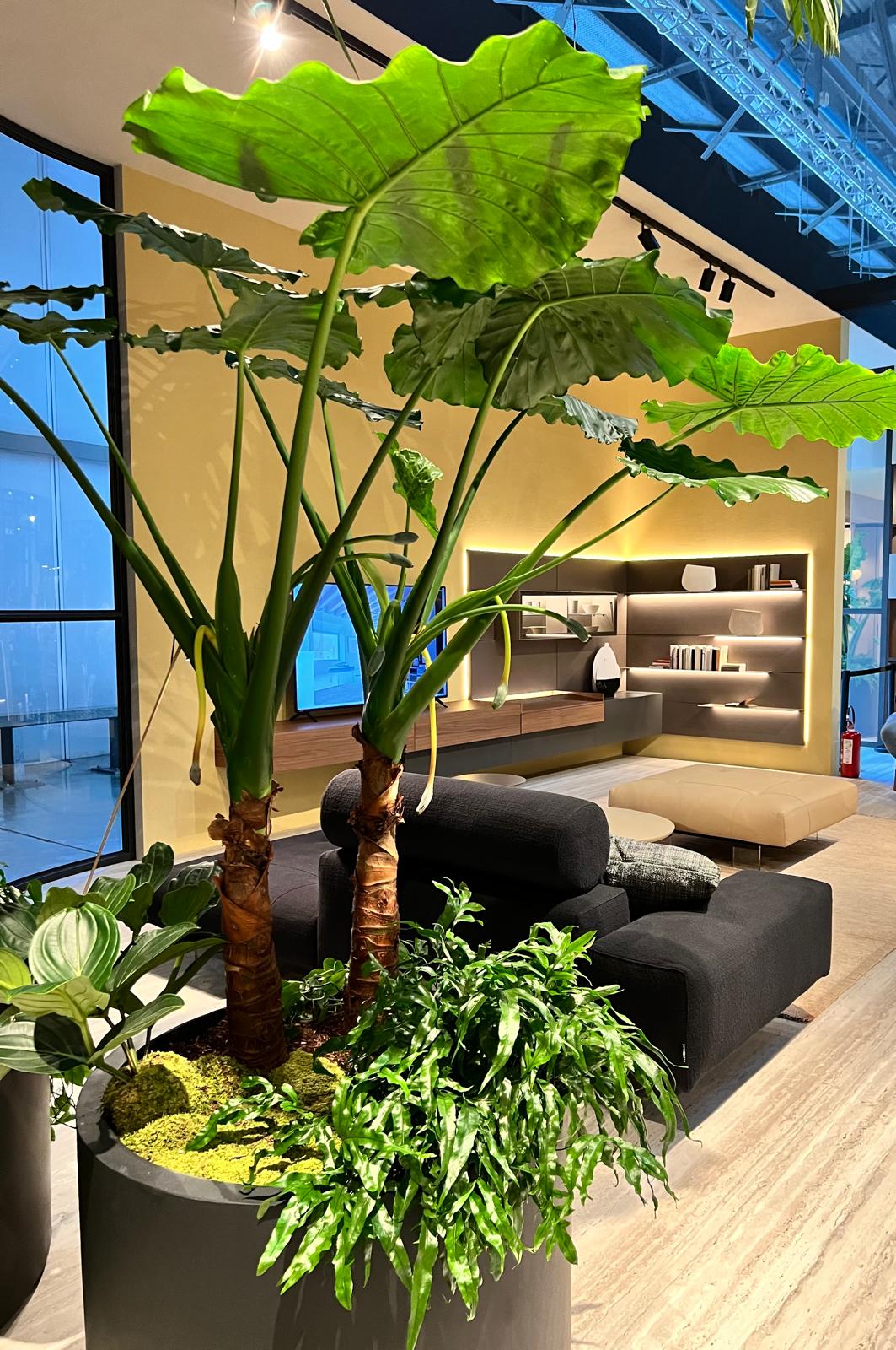 Stroppiana @ Salone 2025 11